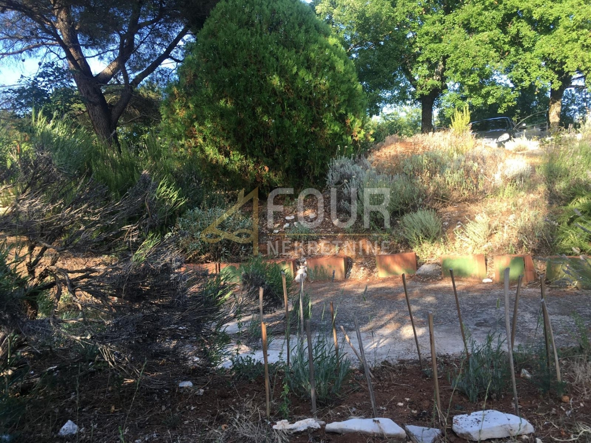 Hiša Trget, Raša, 247,26m2