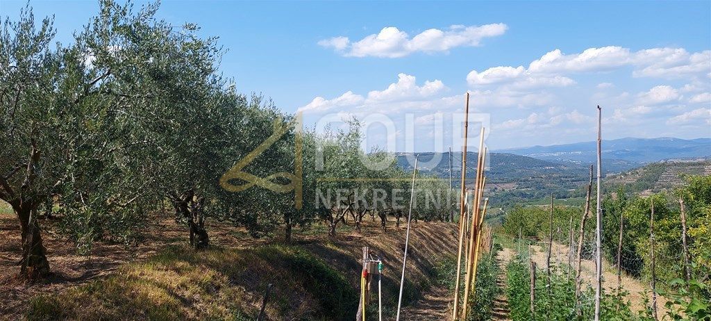Zemljišče Kršikla, Pazin - Okolica, 1.747m2