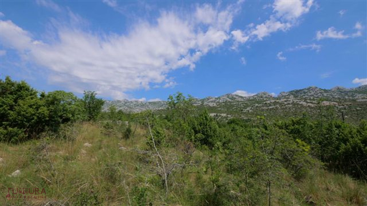 STARIGRAD - SELINE, PRODAJA GRADBENIŠKEGA ZEMLJIŠČA 3264 M2