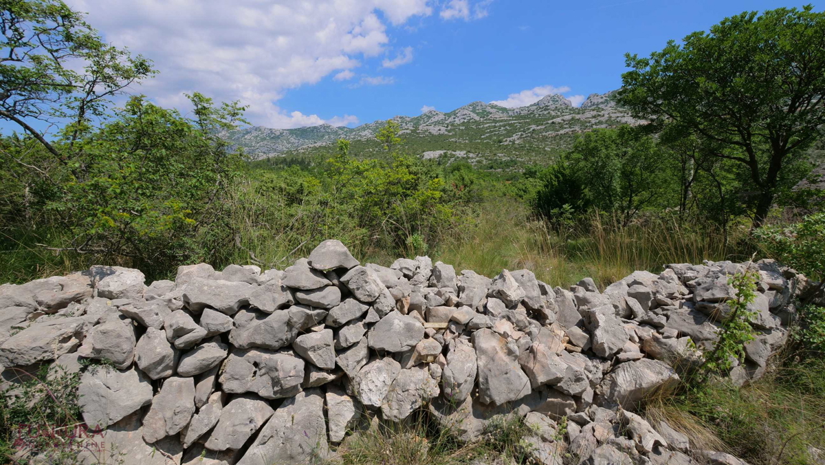 STARIGRAD - SELINE, PRODAJA GRADBENIŠKEGA ZEMLJIŠČA 3264 M2