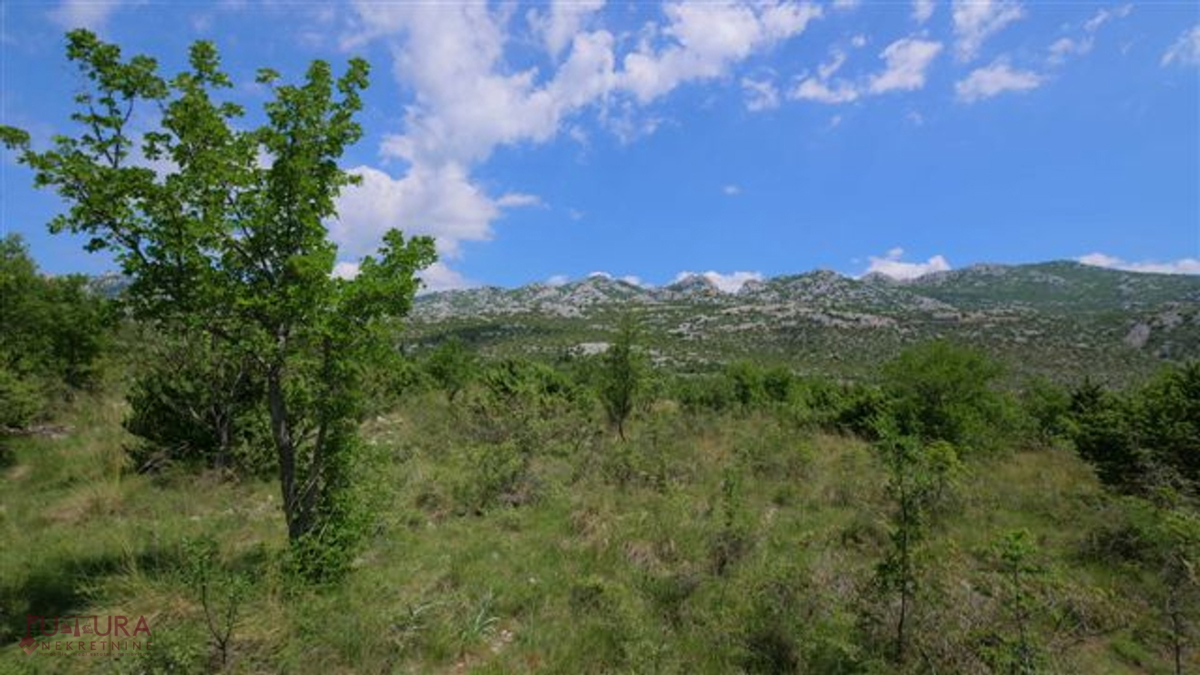 STARIGRAD - SELINE, GRADBENO ZEMLJIŠČE 3264 M2, PRODAJA, POGLED NA MORJE, LOKACIJA