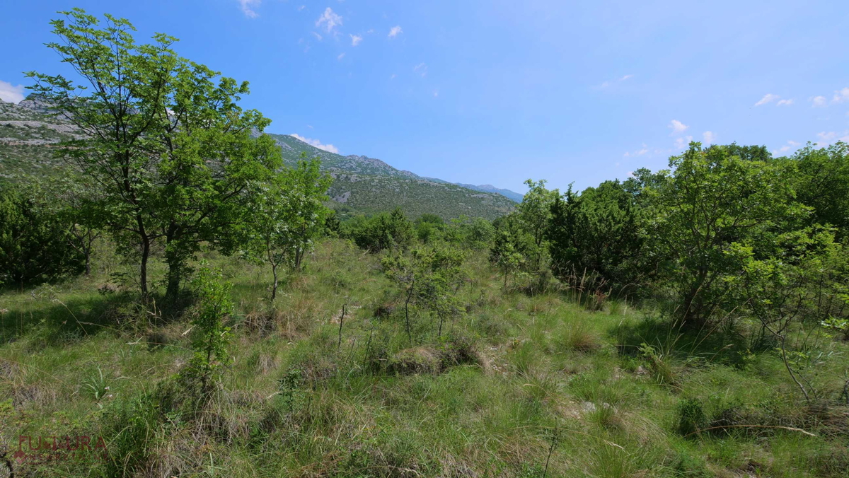 STARIGRAD - SELINE, GRADBENO ZEMLJIŠČE 3264 M2, PRODAJA, POGLED NA MORJE, LOKACIJA