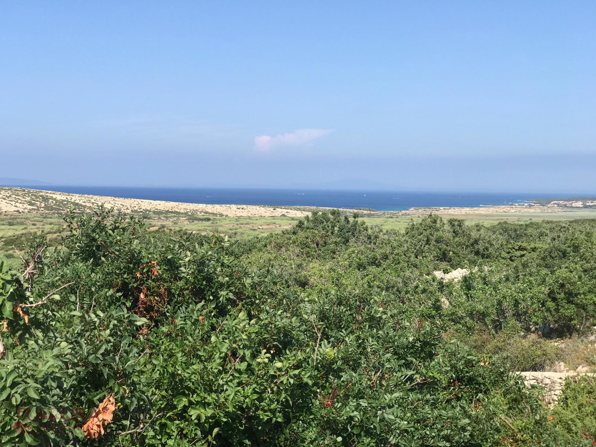 PAG - KOLAN, PRODAJA VILE 190 M2, NOVO, BAZEN, POGLED!!!