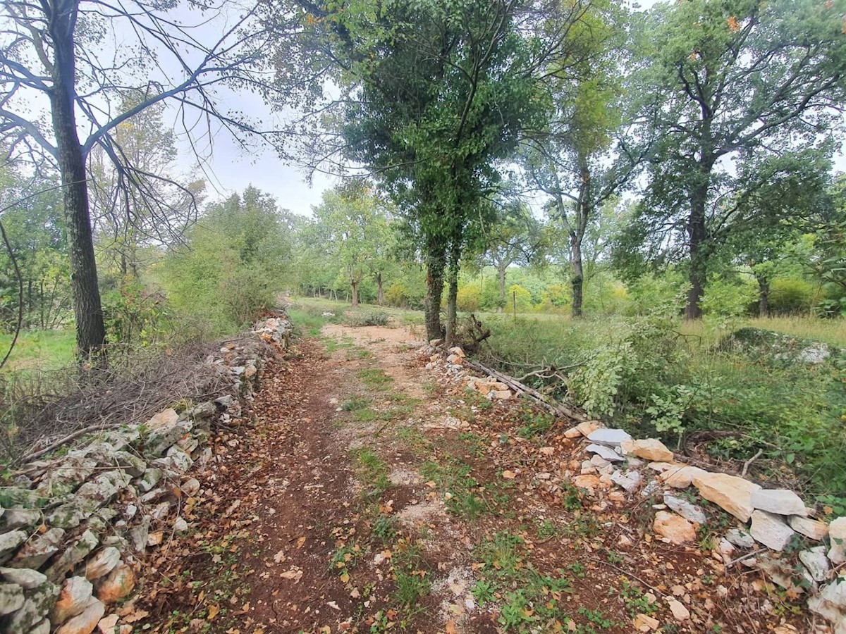 Zemljišče Sveti Lovreč