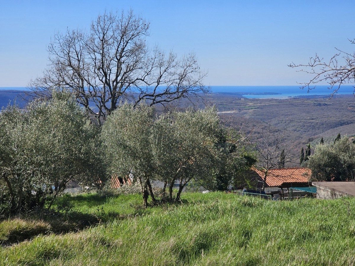 Gradbena Parcela s Pogledom na Morje pri Bujah – 1000 m², Zadnja v Gradbeni Coni