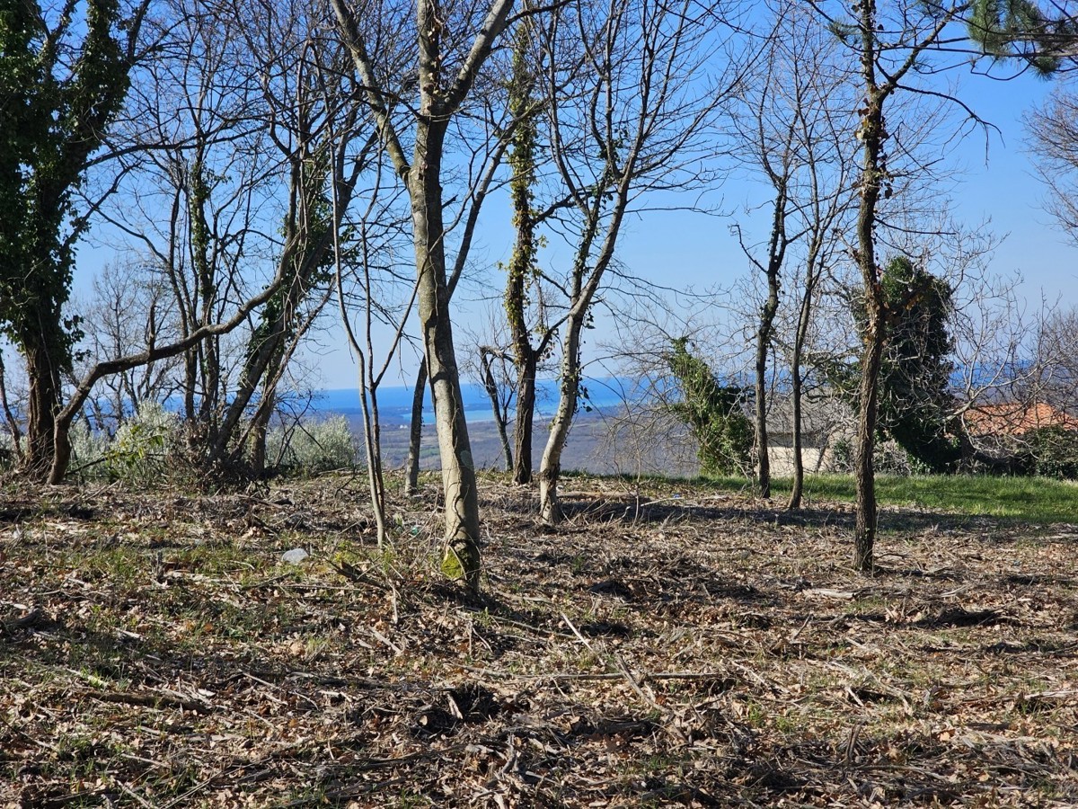 Gradbena Parcela s Pogledom na Morje pri Bujah – 1000 m², Zadnja v Gradbeni Coni