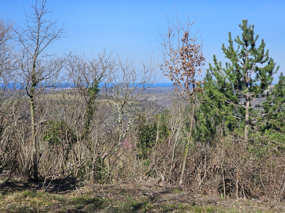 Gradbena Parcela s Pogledom na Morje pri Bujah – 1000 m², Zadnja v Gradbeni Coni