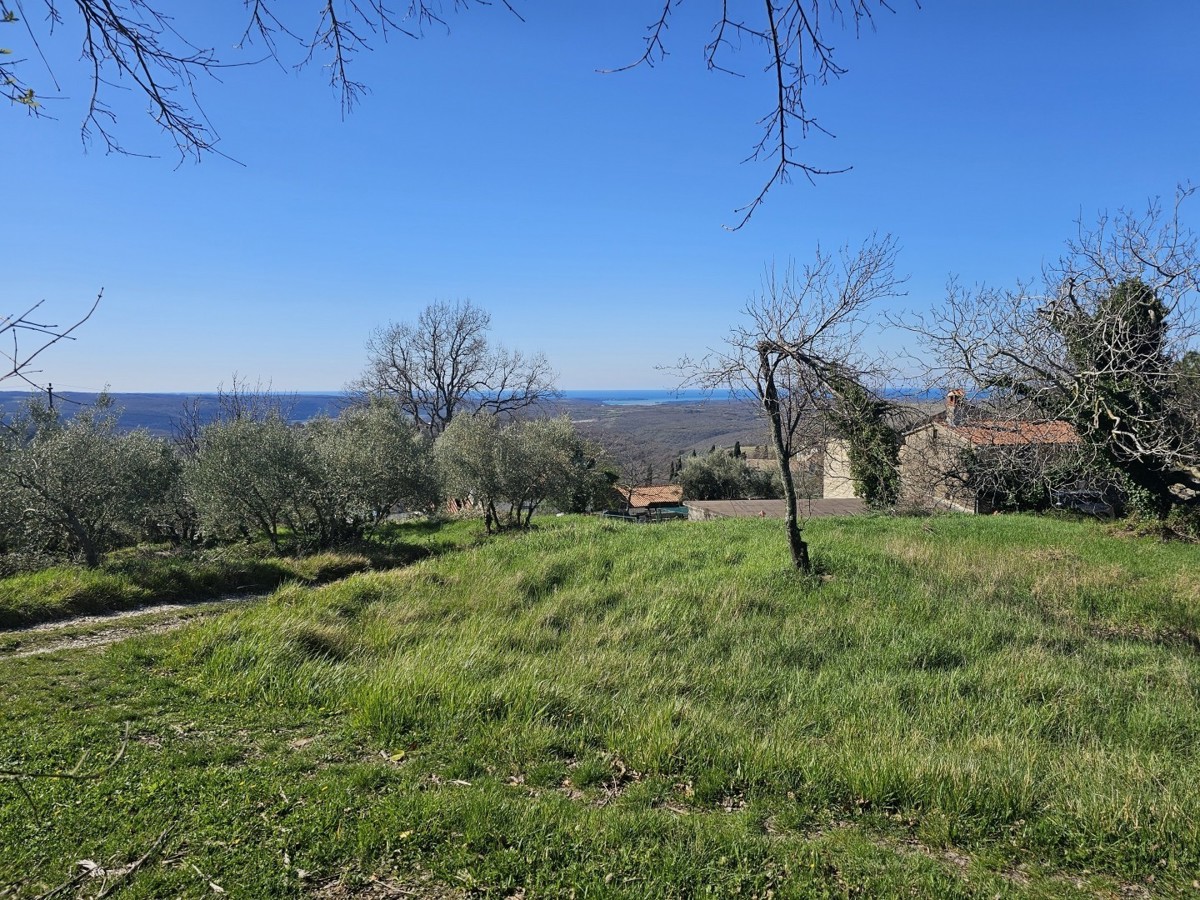 Gradbena Parcela s Pogledom na Morje pri Bujah – 1000 m², Zadnja v Gradbeni Coni