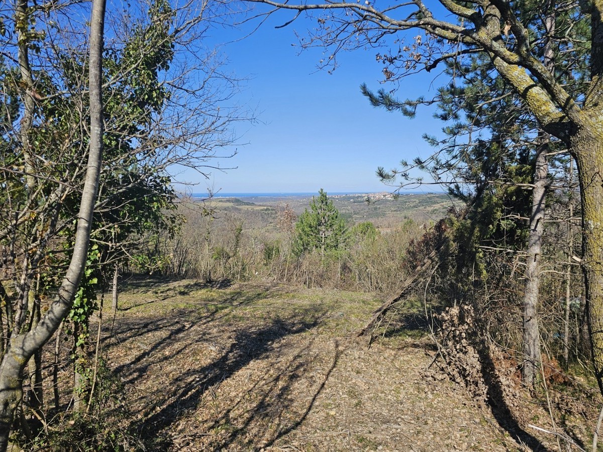 Gradbena Parcela s Pogledom na Morje pri Bujah – 1000 m², Zadnja v Gradbeni Coni