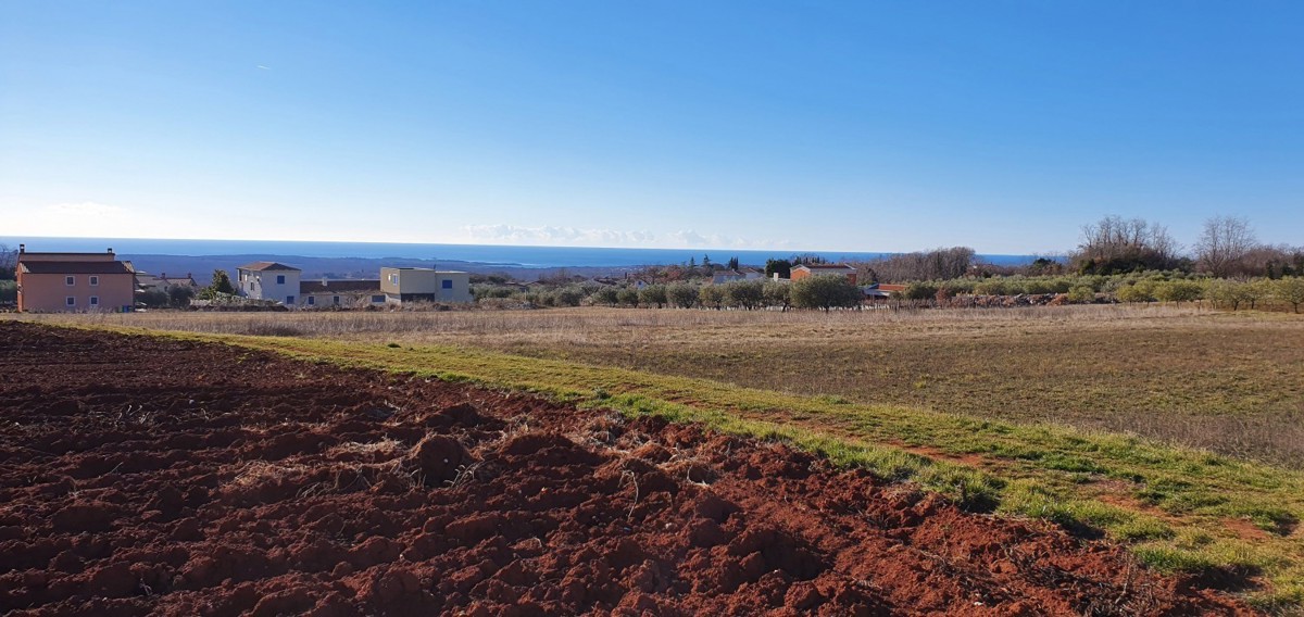 Kaštelir - zemljišče s pogledom na morje in gradbenim dovoljenjem za gradnjo vile