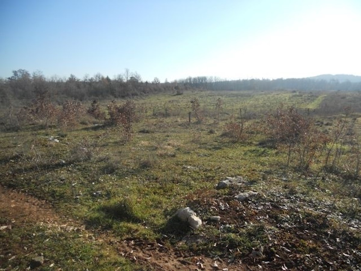 Zemljišče Poreč