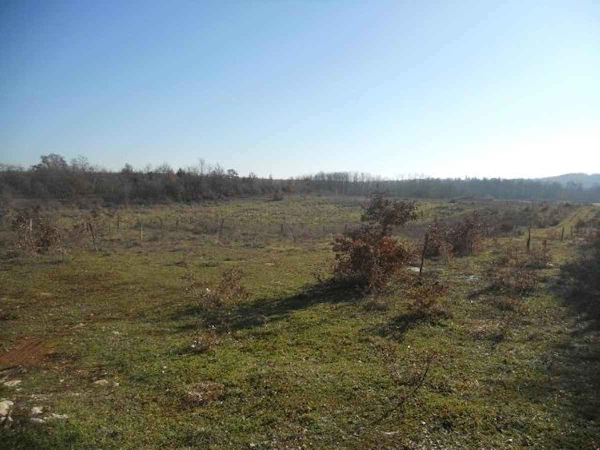 Zemljišče Poreč