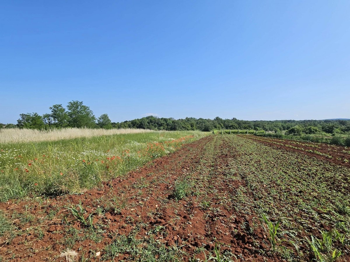 Gradbena parcela Poreč