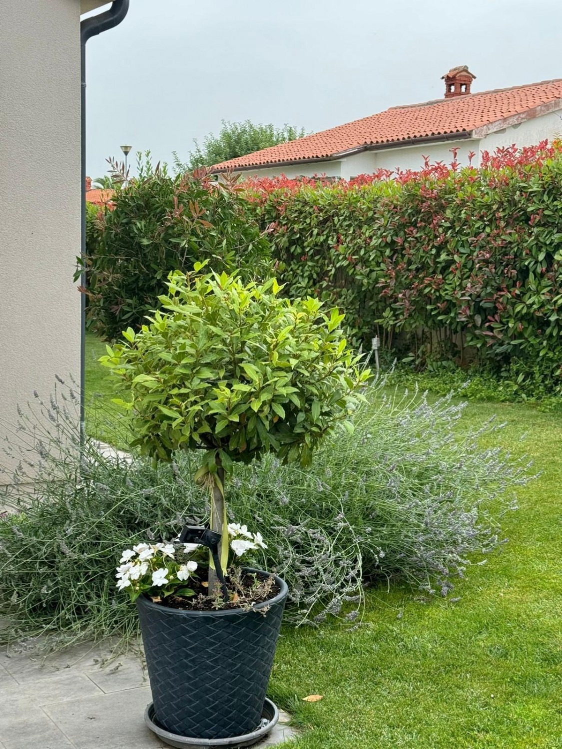 Moderna polsamostojna hiša s pogledom na morje naprodaj - Poreč, Istra