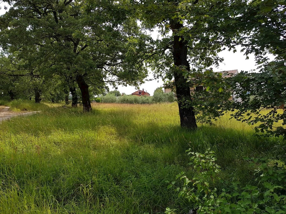 Zemljišče Vižinada