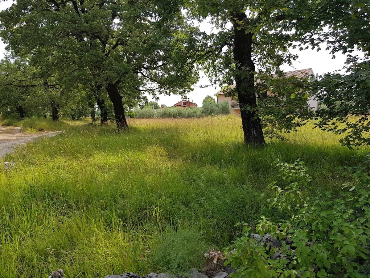 Zemljišče Vižinada