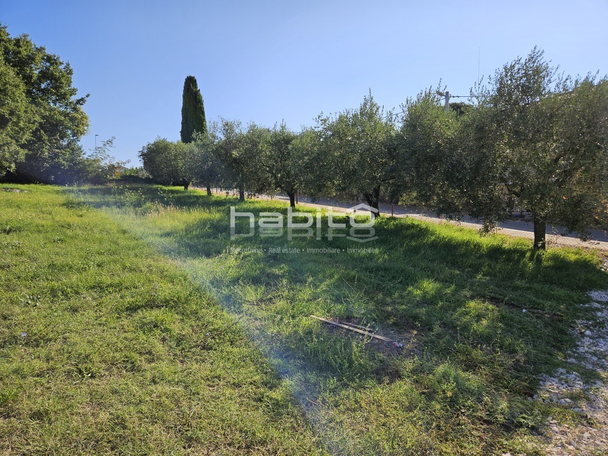 Poreč 10 km, Kaštelir - Građevinsko zemljište sa pogledom na more