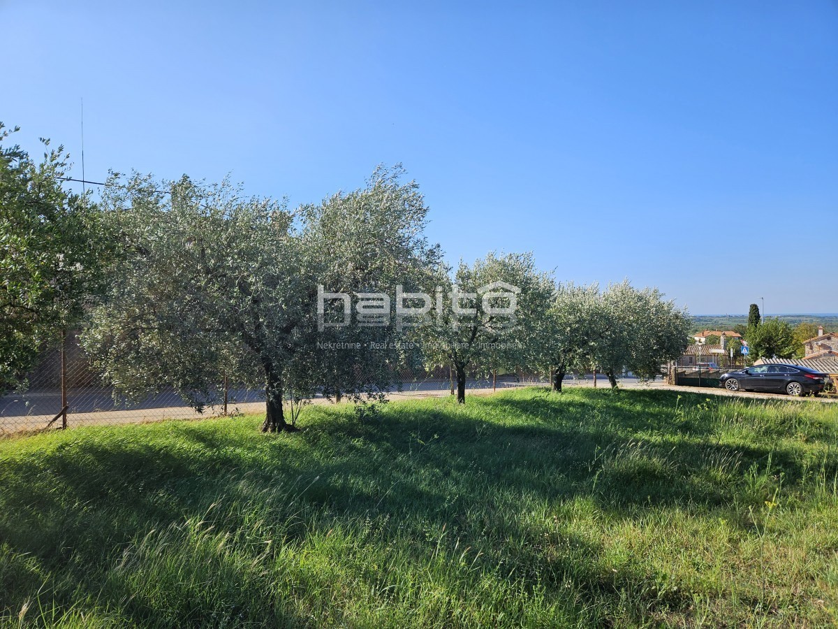 Poreč 10 km, Kaštelir - Građevinsko zemljište sa pogledom na more