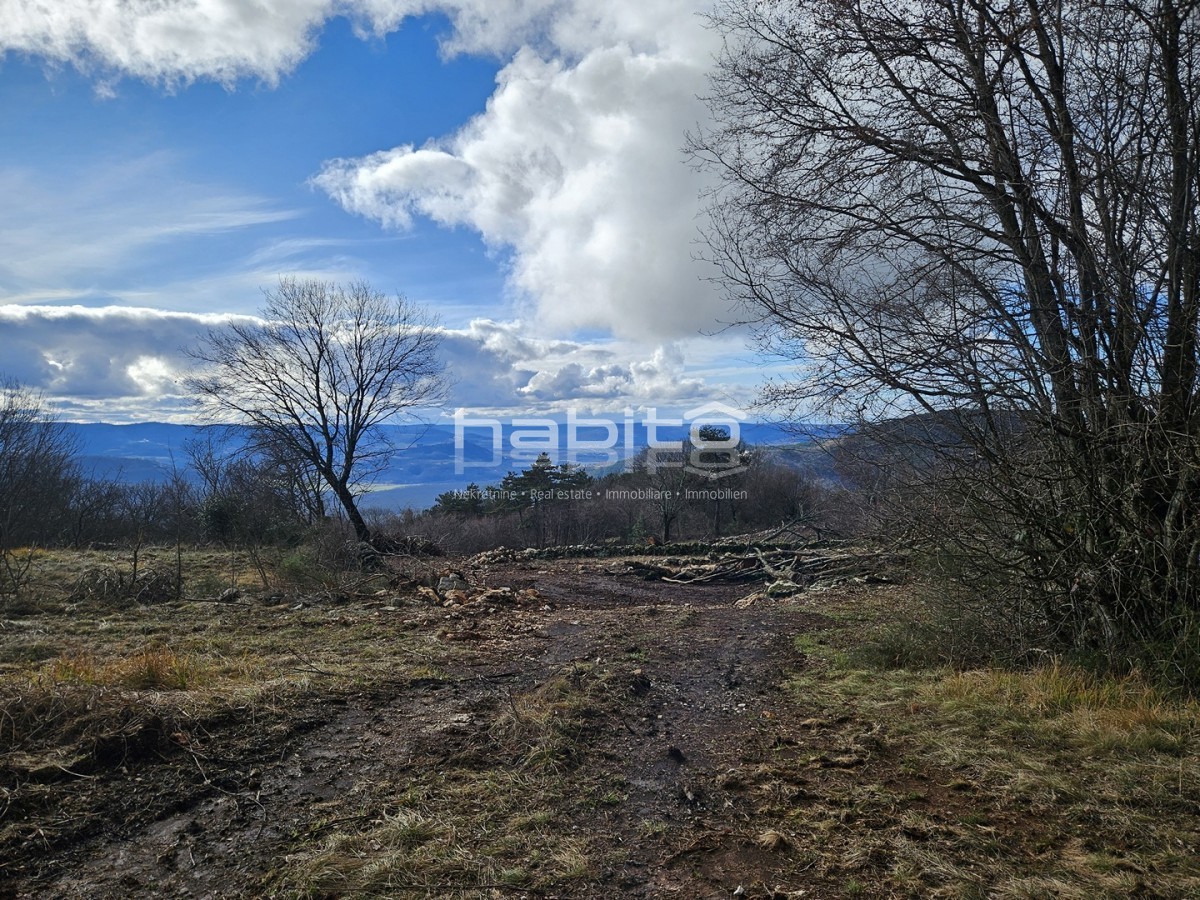 Oprtalj, Zrenj - Stavbno in kmetijsko zemljišče PANORAMSKI RAZGLED