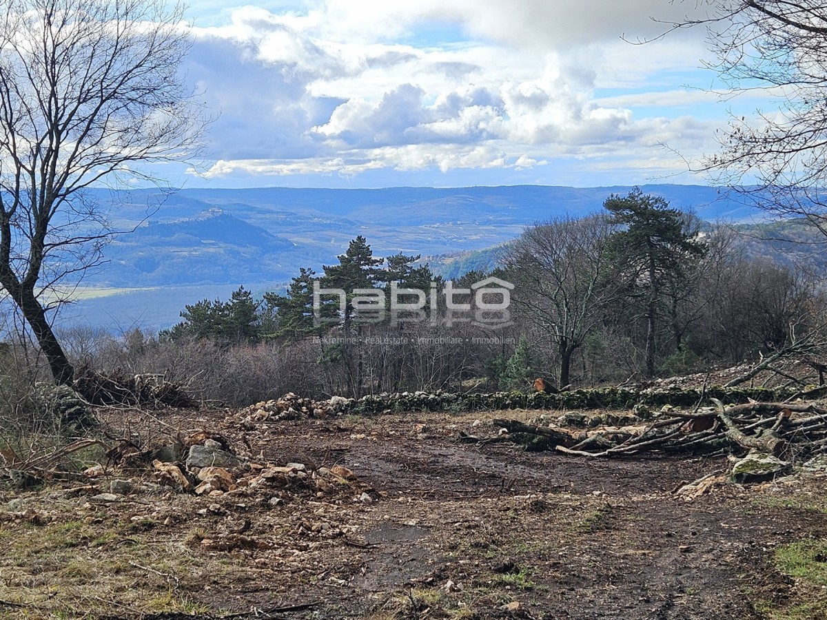 Oprtalj, Zrenj - Stavbno in kmetijsko zemljišče PANORAMSKI RAZGLED