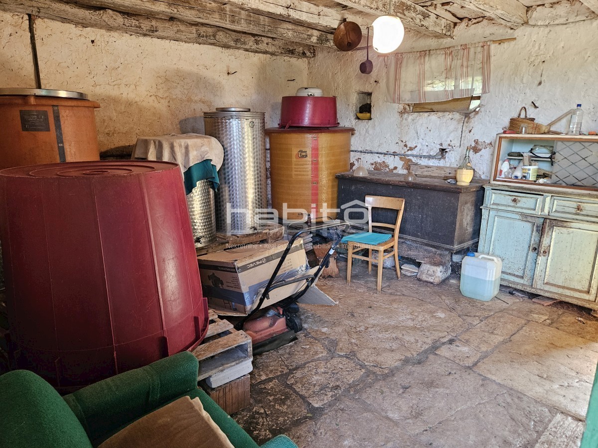 Poreč okolica - Prekrasna stara kamena kuća z veliko okućnico, mirna lokacija