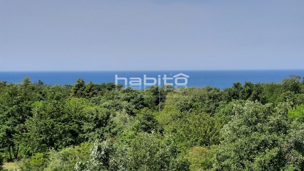 Hiša 