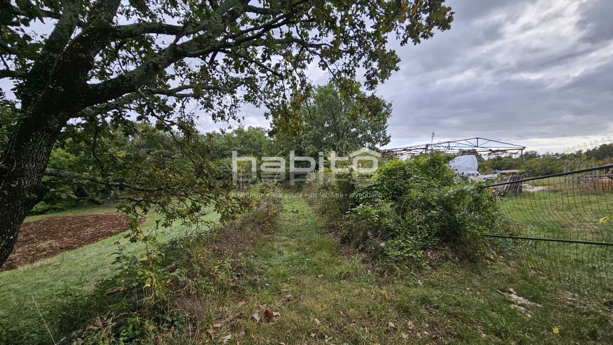Tinjan, Kringa - Zazidljivo in kmetijsko zemljišče, rob naselja, zasebnost in mir