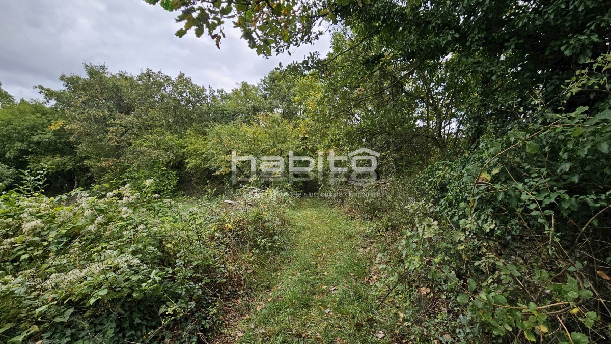 Tinjan, Kringa - Zazidljivo in kmetijsko zemljišče, rob naselja, zasebnost in mir