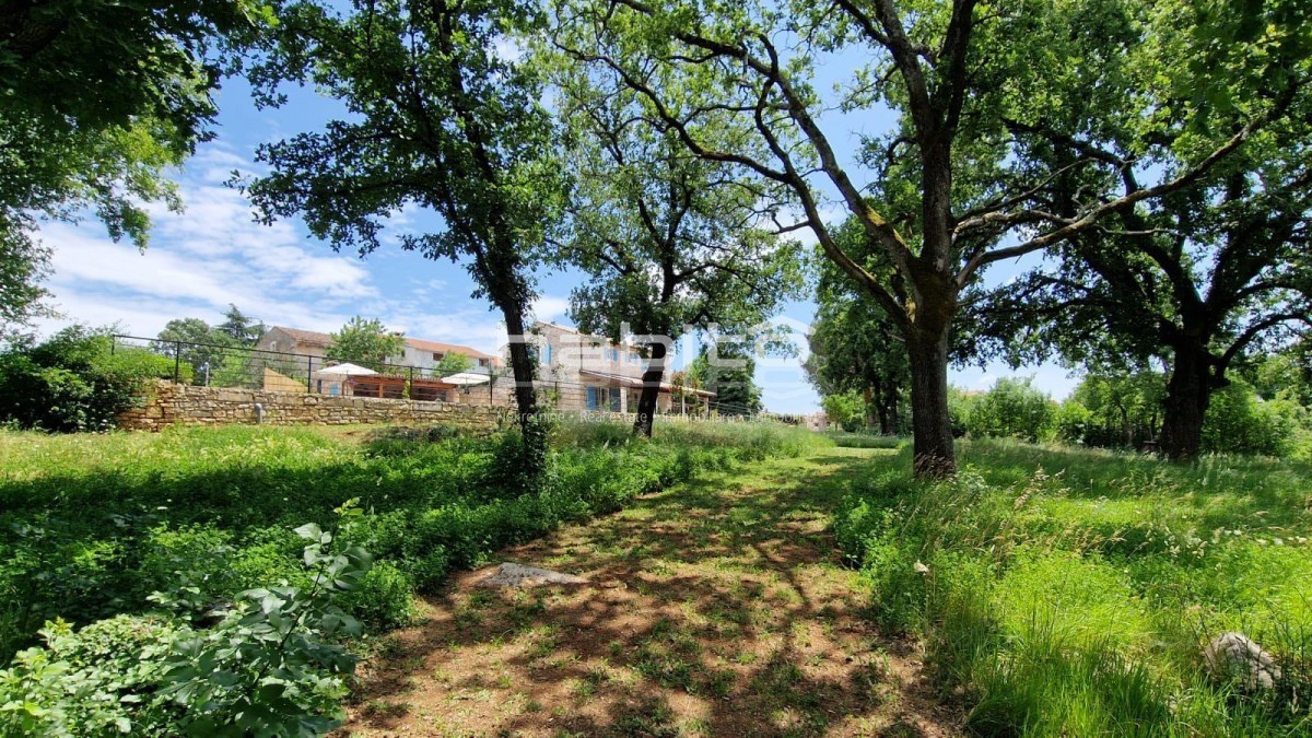 Poreč - Obnovljena istrska kamnita hiša z bazenom