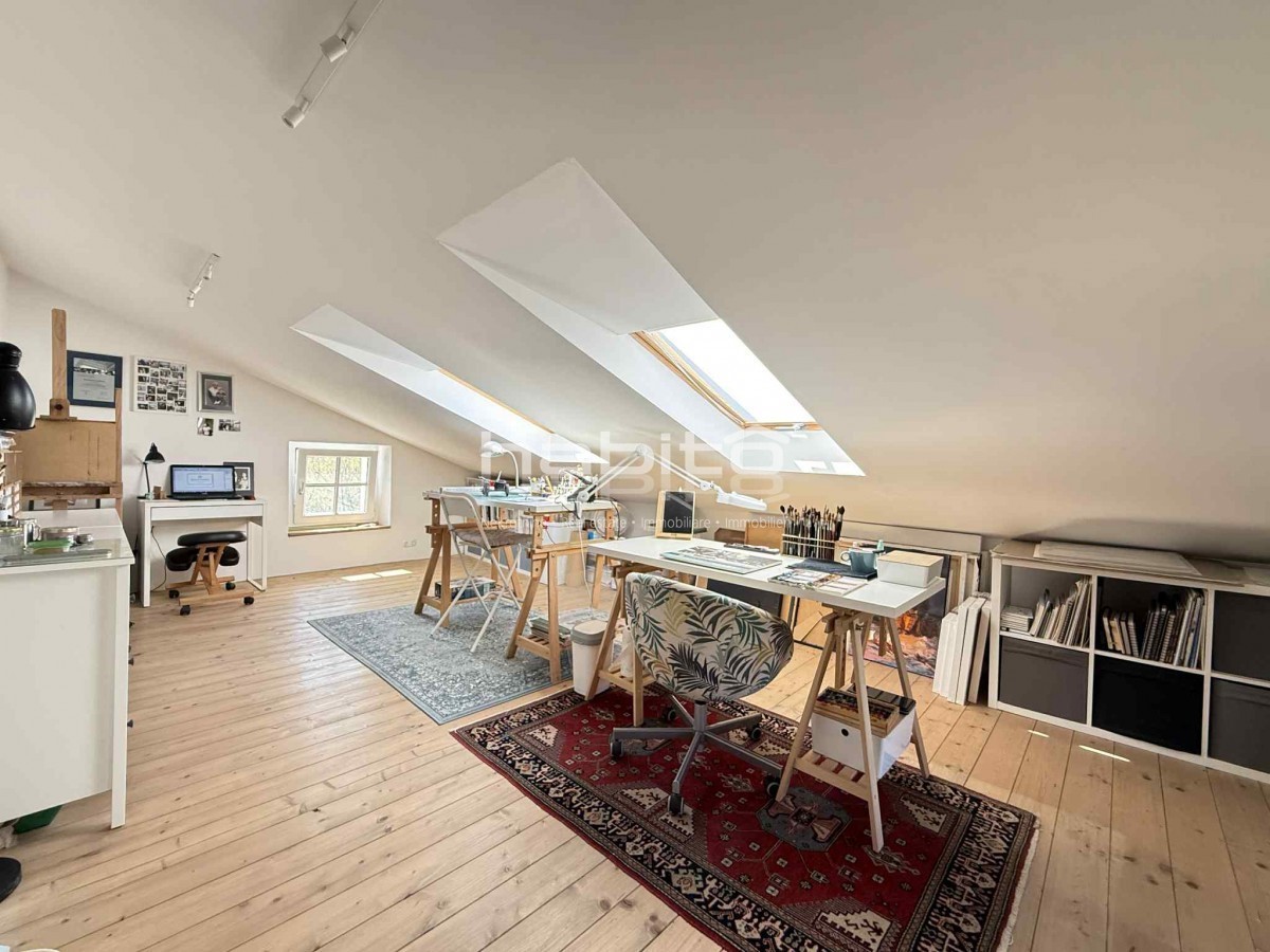 Prenovljena kamnita hiša z očarljivim pogledom na Motovun