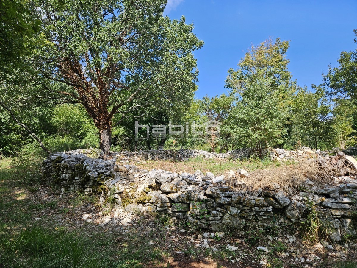 Poreč 17 km - Zazidljivo in kmetijsko zemljišče, rob naselja, zasebnost in mir