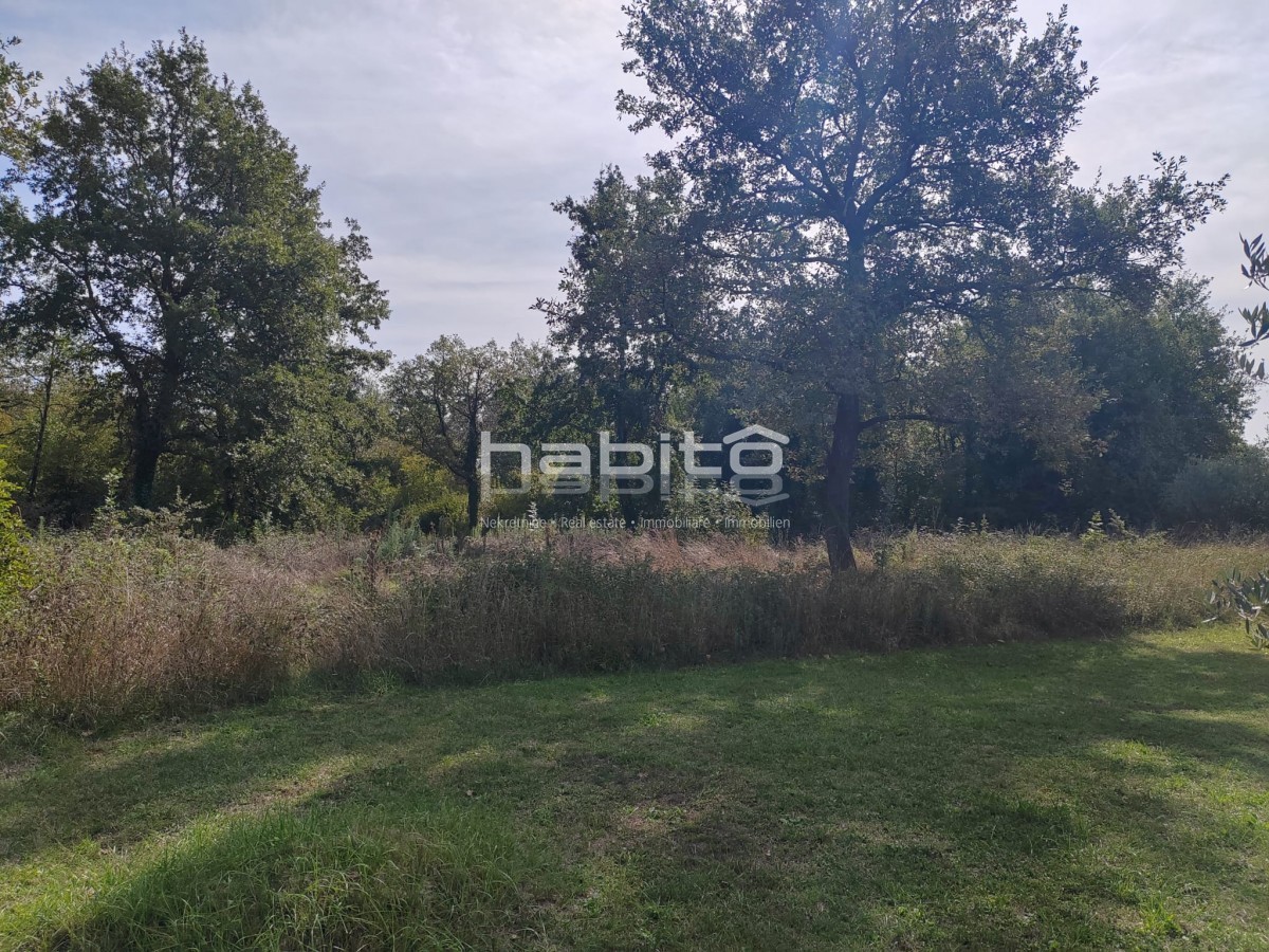 INVESTICIJSKA PRILOŽNOST: Privlačno zemljišče v bližini Poreča