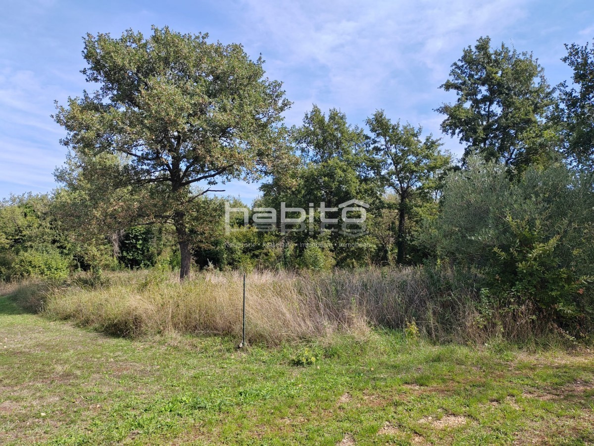 INVESTICIJSKA PRILOŽNOST: Privlačno zemljišče v bližini Poreča