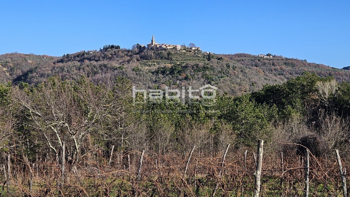 Okolica Grožnjana - Stara kamnita hiša za prenovo s pogledom na Grožnjan