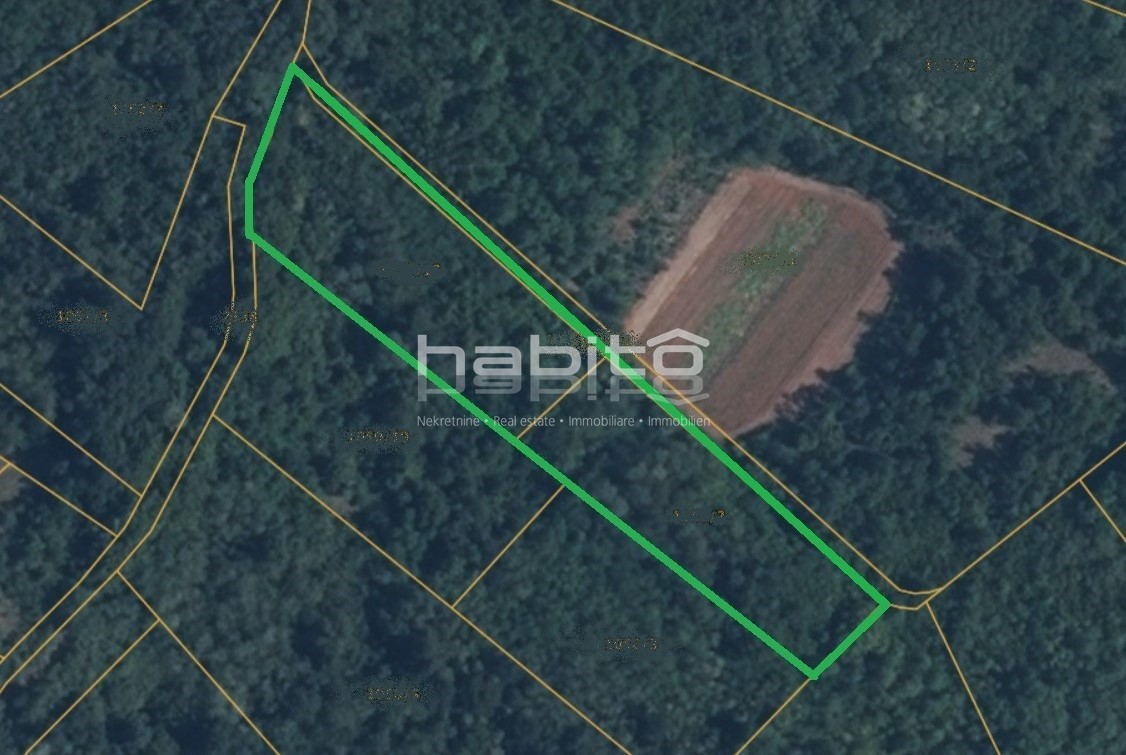 Okolica Višnjana - Kmetijsko zemljišče na robu naselja