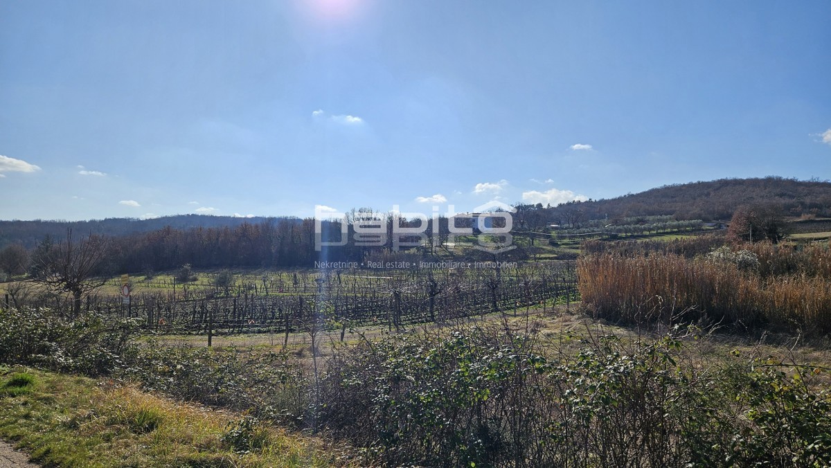 Stavbno zemljišče za stanovanjsko gradnjo – okolica Motovuna