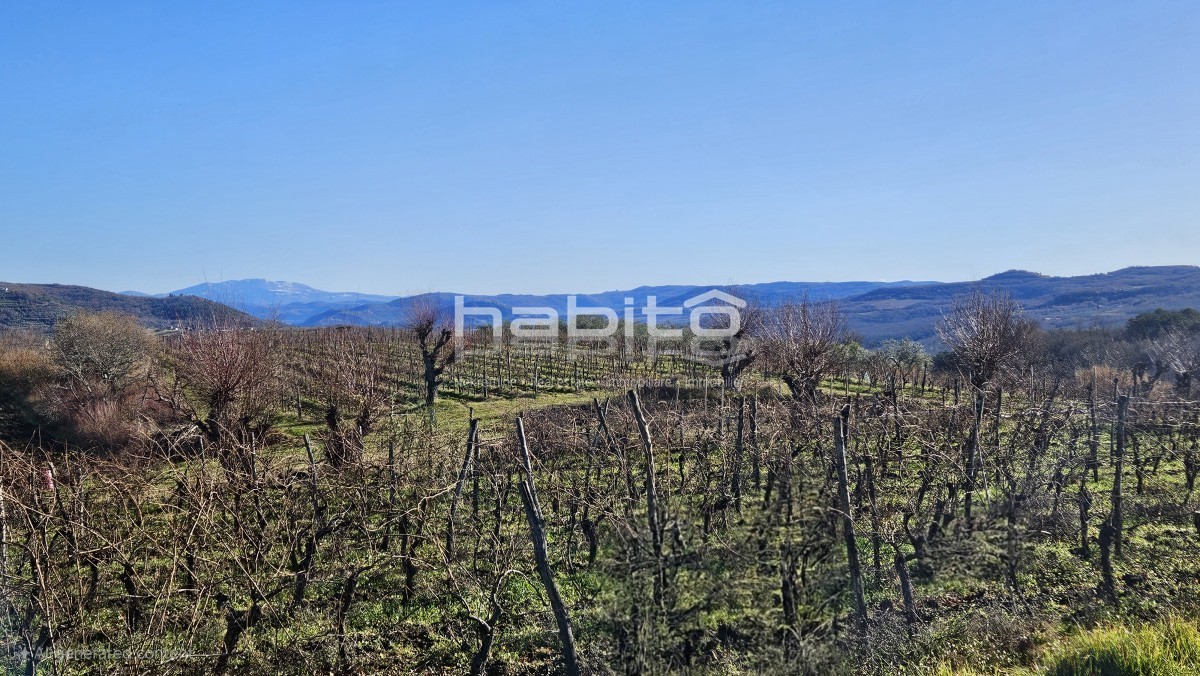 Okolica Grožnjana - Atraktivno gradbeno zemljišče z lepim razgledom na Grožnjan