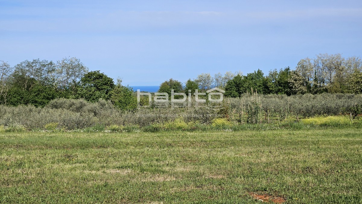 Poreč 13 km - Gradbeno + kmetijsko zemljišče z lepim odprtim razgledom + gradbeno dovoljenje