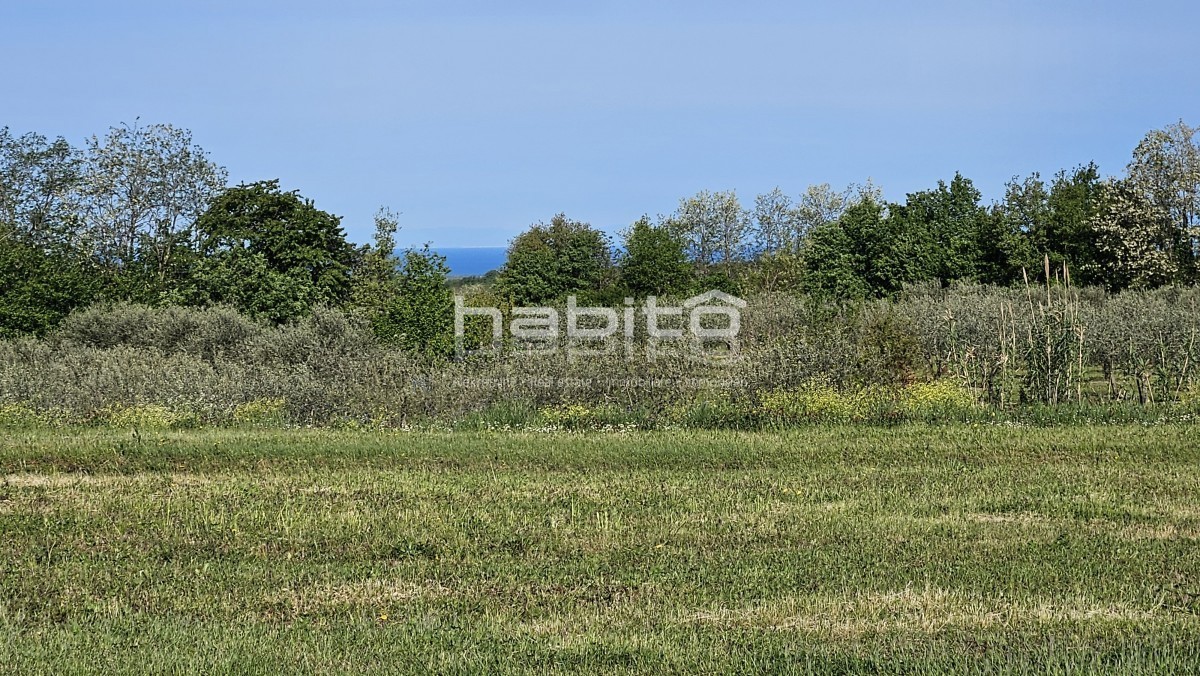 Poreč 13 km - Gradbeno + kmetijsko zemljišče z lepim odprtim razgledom + gradbeno dovoljenje