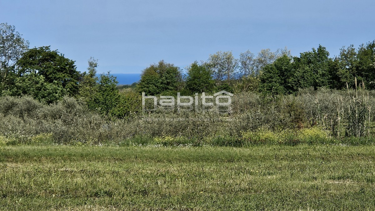 Poreč 13 km - Gradbeno + kmetijsko zemljišče z lepim odprtim razgledom + gradbeno dovoljenje