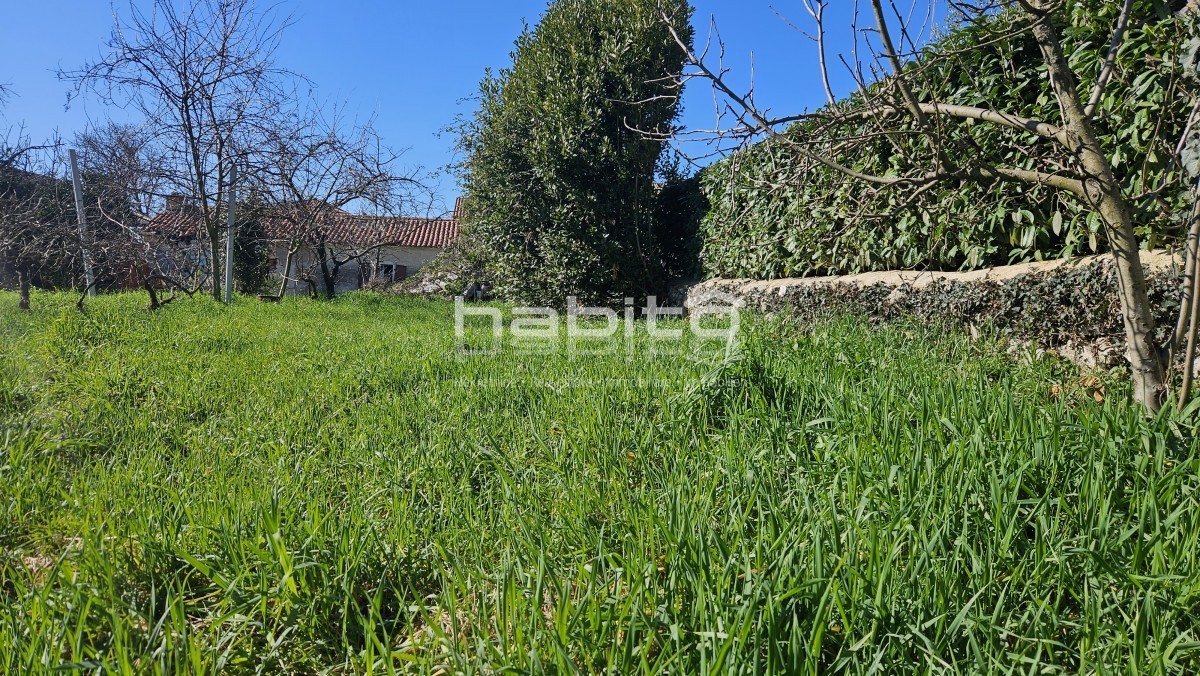 Kamnita hiša s projektom za vilo z bazenom – 250m od centra, 10km od morja