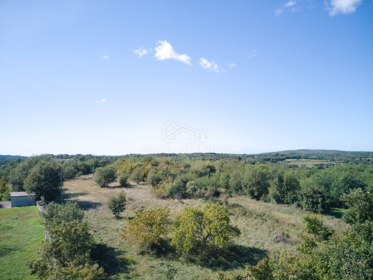 Ugodno zemljišče za gradnjo več hiš v bližini čudovitega Grožnjana in mirne pokrajine