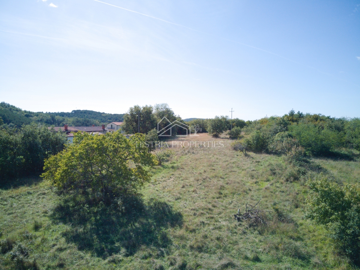 Ugodno zemljišče za gradnjo več hiš v bližini čudovitega Grožnjana in mirne pokrajine