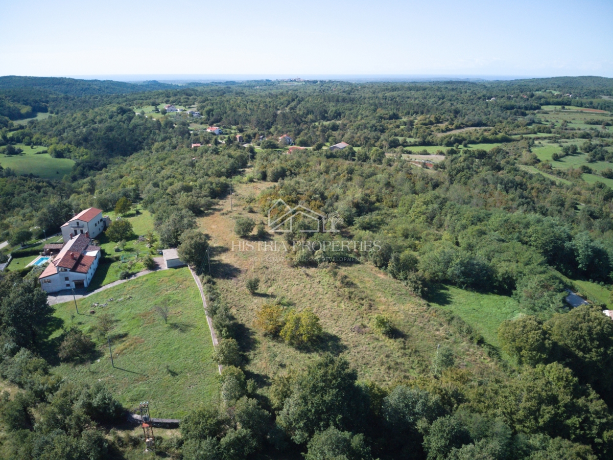 Ugodno zemljišče za gradnjo več hiš v bližini čudovitega Grožnjana in mirne pokrajine