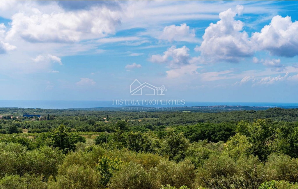 Tradicionalna hiša z bazenom na robu mirne istrske vasi