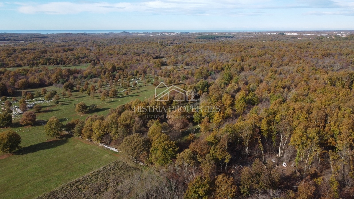 Prostorno kmetijsko zemljišče z dovozno cesto in možnostjo priključka na vodo