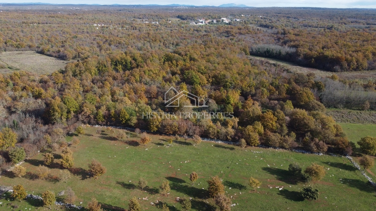 Prostorno kmetijsko zemljišče z dovozno cesto in možnostjo priključka na vodo