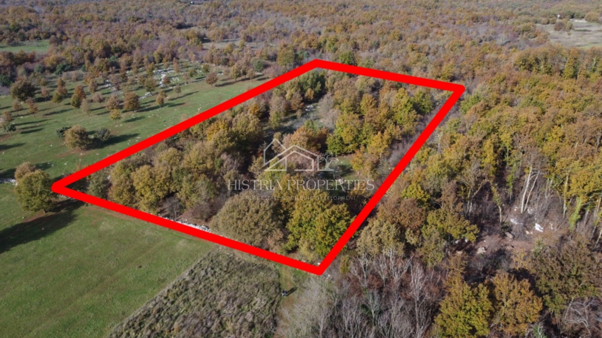 Prostorno kmetijsko zemljišče z dovozno cesto in možnostjo priključka na vodo