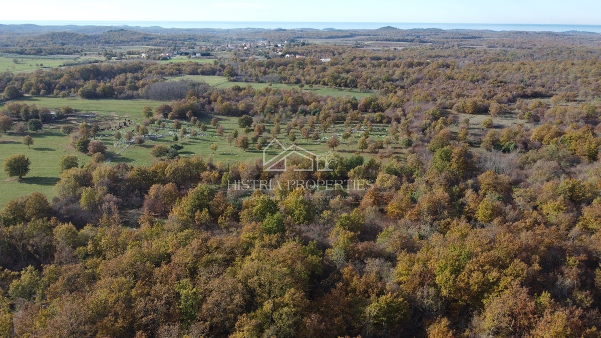 Prostorno kmetijsko zemljišče z dovozno cesto in možnostjo priključka na vodo