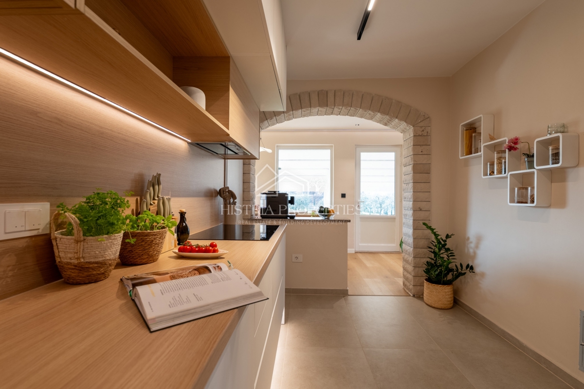 Hiša z oljčnim nasadom na prostornem gradbenem zemljišču in prenovljeno stanovanje z veliko potenciala